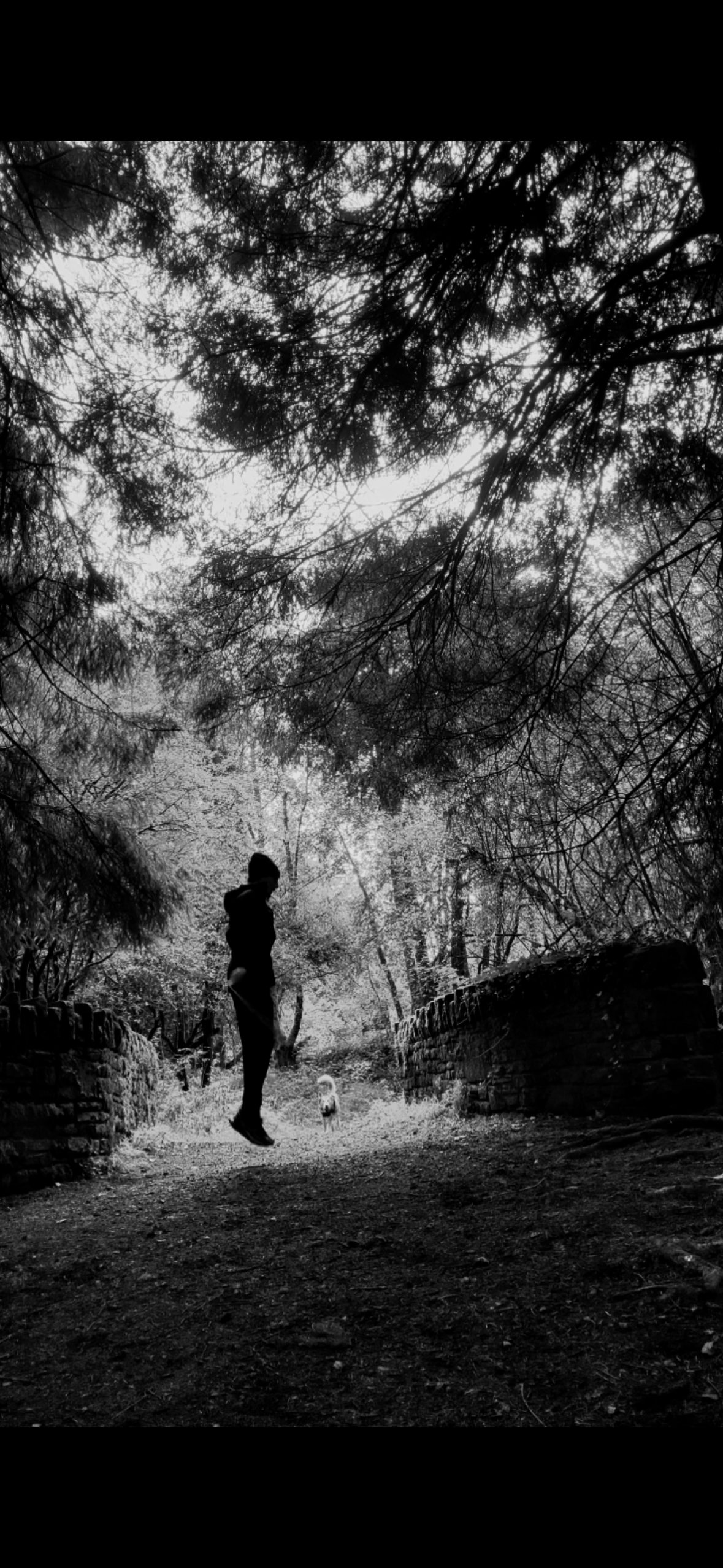 Skipping